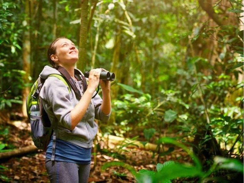 AMANECER CON AVES EN ANIMAL PARK
