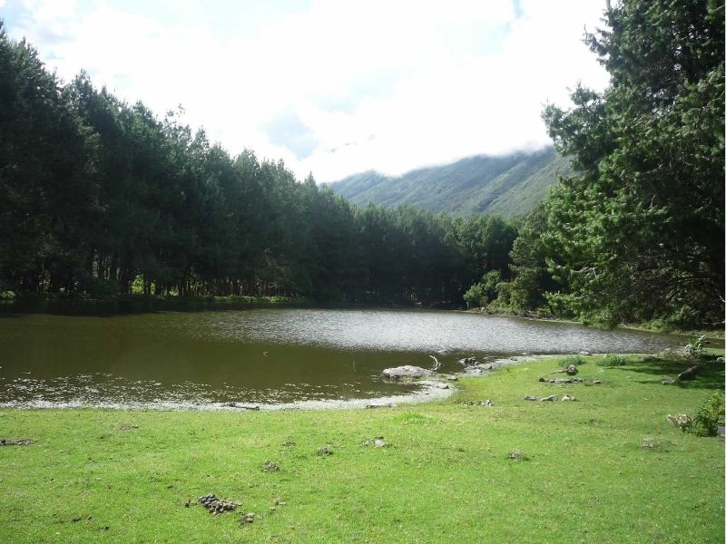 Tour Image