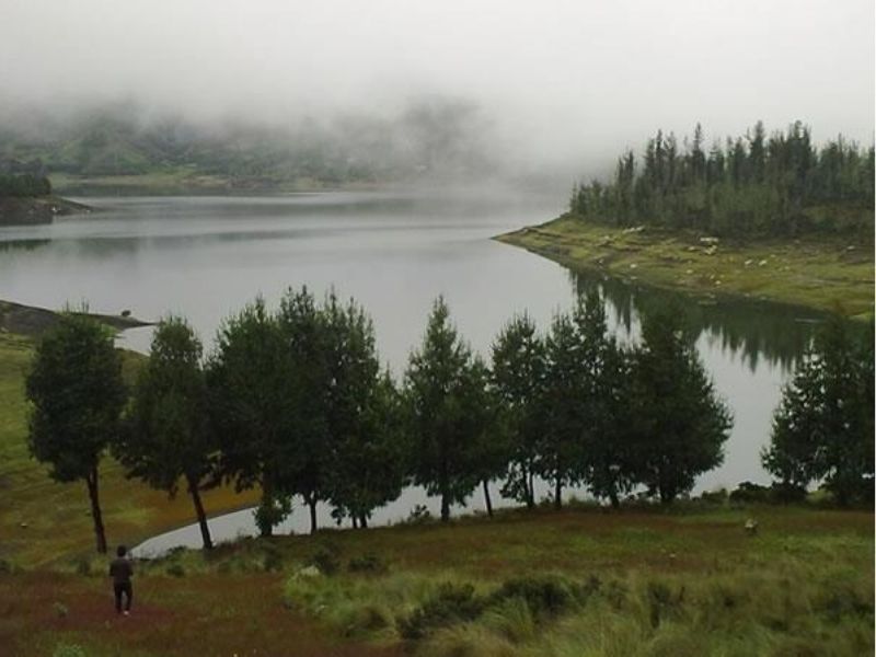 Tour Image