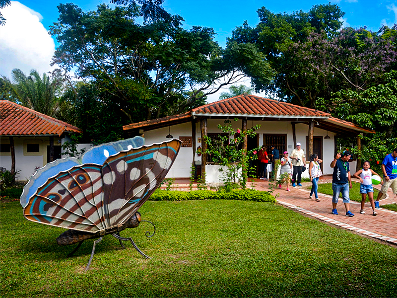 Tour Image