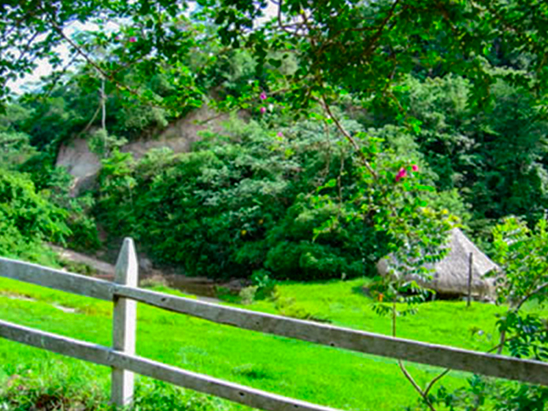 Tour Image