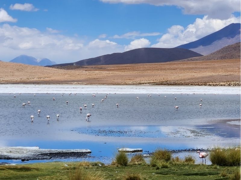 SALAR DE UYUNI + LAGUNAS