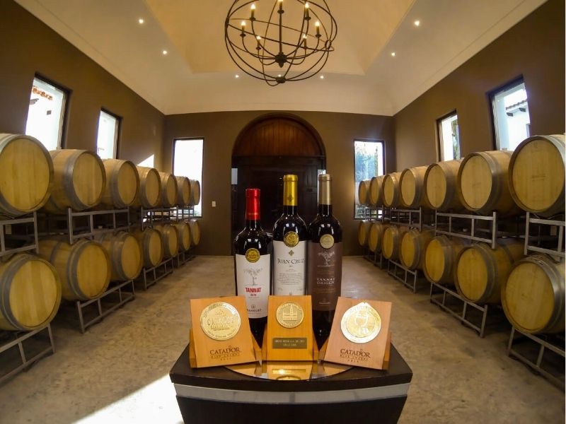 CITY TOUR Y BODEGAS 