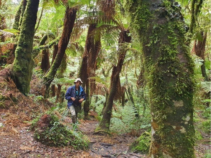 SAMAIPATA + BOSQUE DE LOS HELECHOS
