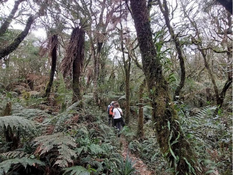 Tour Image