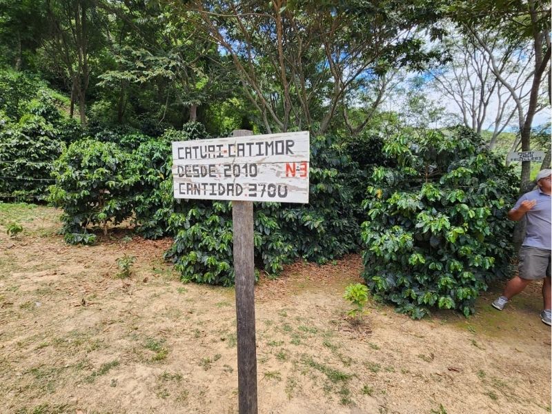 Tour Image
