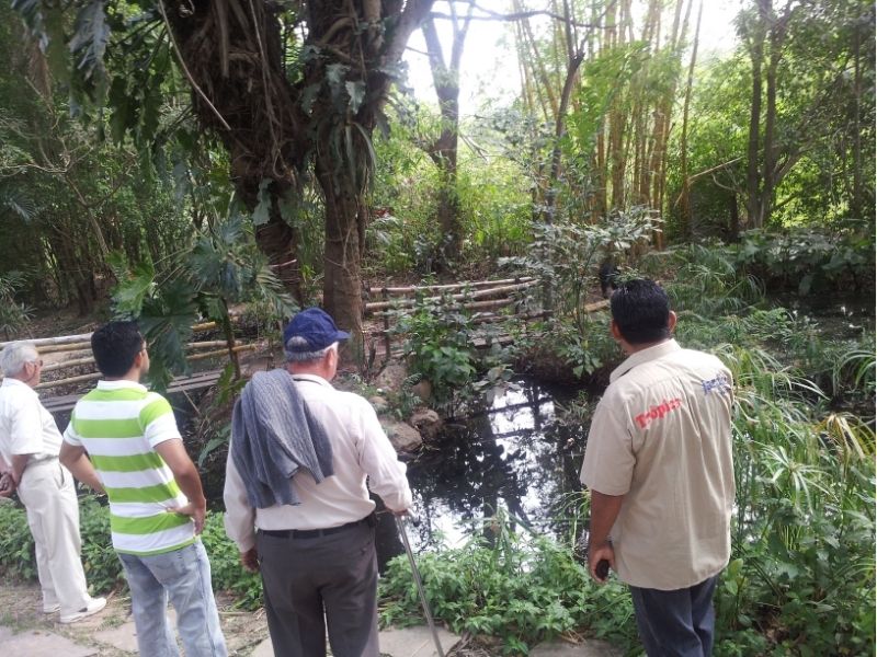Tour Image