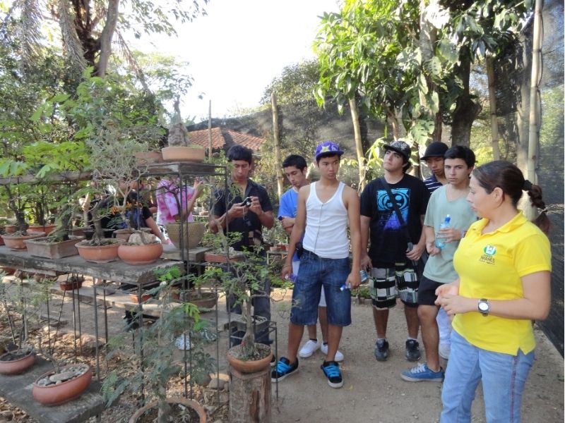 Tour Image