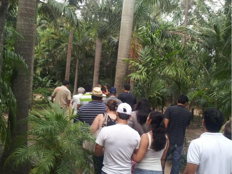 Tour Image
