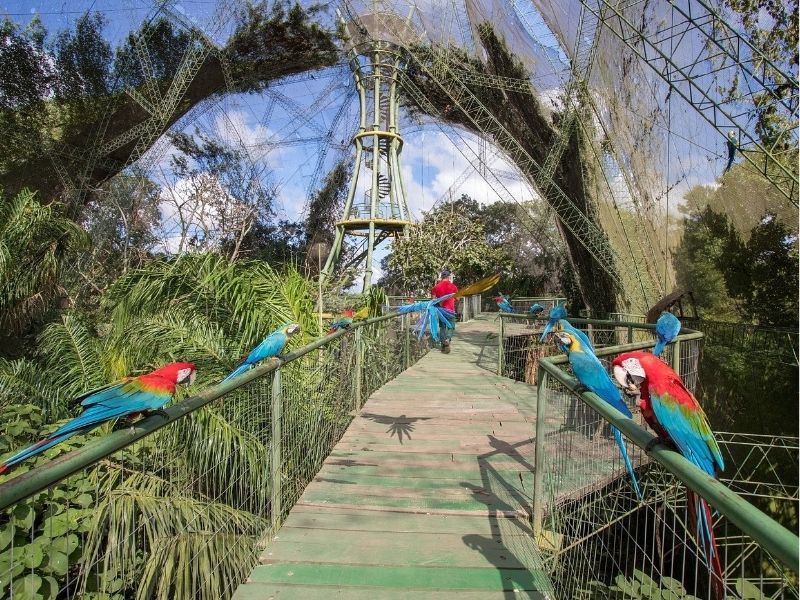 BIOCENTRO GÜEMBE FULL DAY