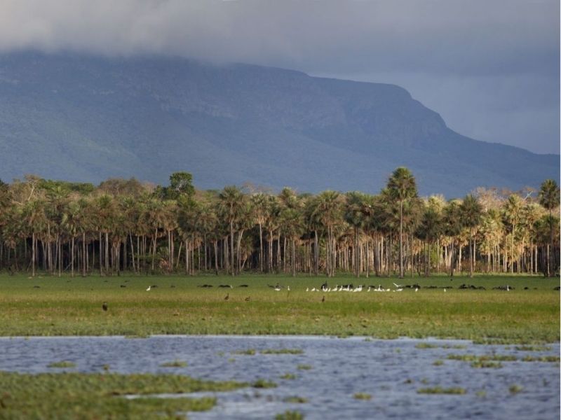 PARQUE NACIONAL KAA-IYA 3D/2N